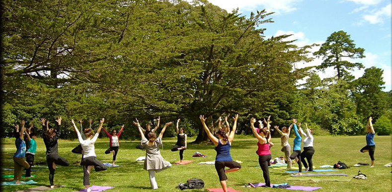 Himalayan Tours Destiny Yoga Retreat Package